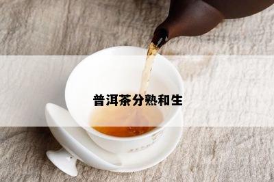 普洱茶分熟和生