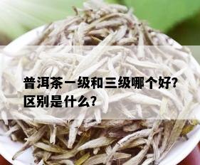 普洱茶一级和三级哪个好？区别是什么？