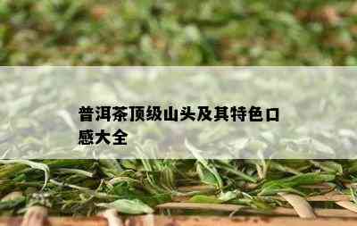 普洱茶顶级山头及其特色口感大全