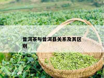 普洱茶与普洱县关系及其区别