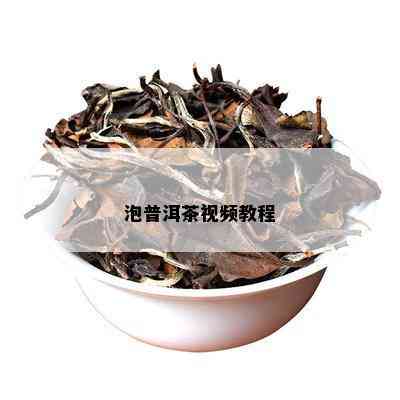 泡普洱茶视频教程