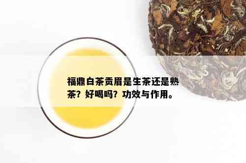 福鼎白茶贡眉是生茶还是熟茶？好喝吗？功效与作用。