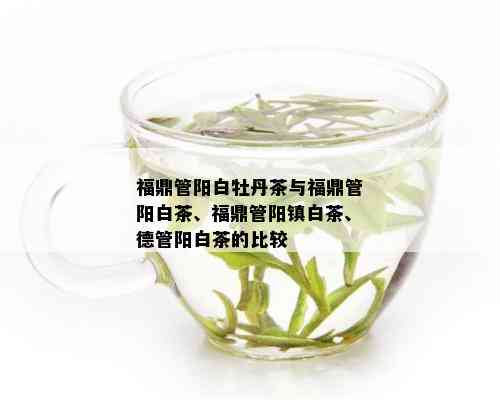 福鼎管阳白牡丹茶与福鼎管阳白茶、福鼎管阳镇白茶、德管阳白茶的比较