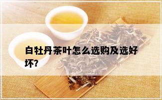 白牡丹茶叶怎么选购及选好坏？