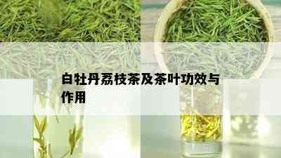 白牡丹荔枝茶及茶叶功效与作用