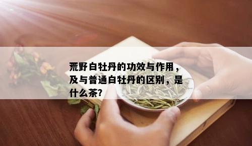 荒野白牡丹的功效与作用，及与普通白牡丹的区别，是什么茶？