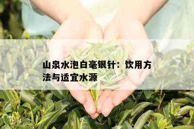 山泉水泡白毫银针：饮用方法与适宜水源