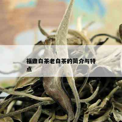 福鼎白茶老白茶的简介与特点