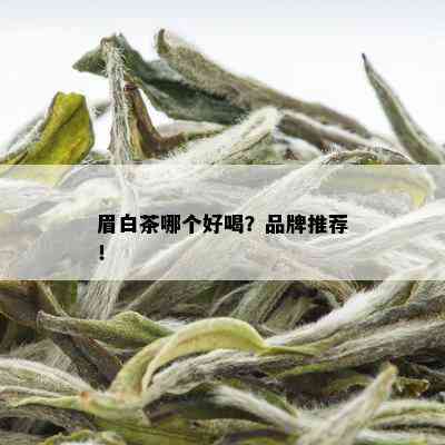 眉白茶哪个好喝？品牌推荐！