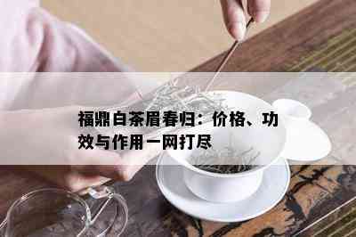 福鼎白茶眉春归：价格、功效与作用一网打尽