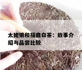 太姥娘和福鼎白茶：故事介绍与品尝比较