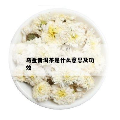 乌金普洱茶是什么意思及功效