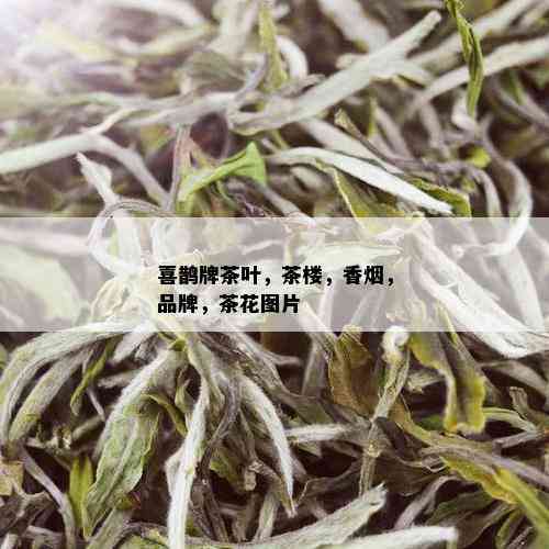 喜鹊牌茶叶，茶楼，香，品牌，茶花图片