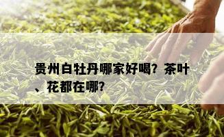 贵州白牡丹哪家好喝？茶叶、花都在哪？