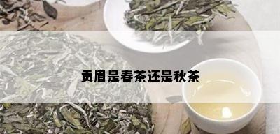 贡眉是春茶还是秋茶