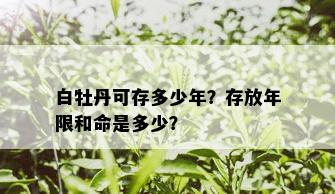 白牡丹可存多少年？存放年限和命是多少？