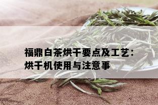 福鼎白茶烘干要点及工艺：烘干机使用与注意事