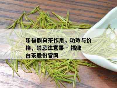 乐福鼎白茶作用，功效与价格，禁忌注意事 - 福鼎白茶股份官网