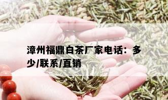 漳州福鼎白茶厂家电话：多少/联系/直销