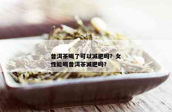 普洱茶喝了可以减肥吗？女性能喝普洱茶减肥吗？