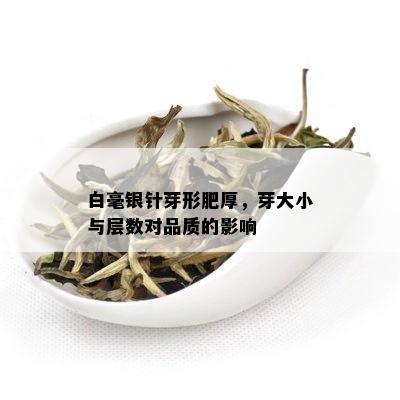 白毫银针芽形肥厚，芽大小与层数对品质的影响