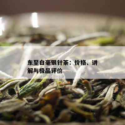 东至白毫银针茶：价格、讲解与极品评价