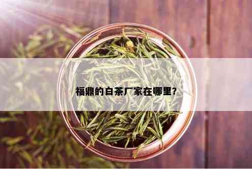 福鼎的白茶厂家在哪里？