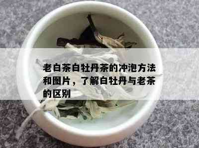 老白茶白牡丹茶的冲泡方法和图片，了解白牡丹与老茶的区别