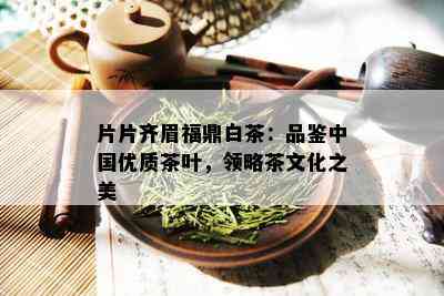 片片齐眉福鼎白茶：品鉴中国优质茶叶，领略茶文化之美