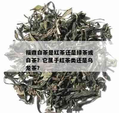 福鼎白茶是红茶还是绿茶或白茶？它属于红茶类还是乌龙茶？