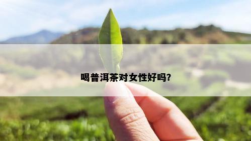 喝普洱茶对女性好吗？