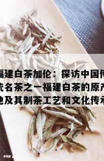 福建白茶加伦：探访中国传统名茶之一福建白茶的原产地及其制茶工艺和文化传承