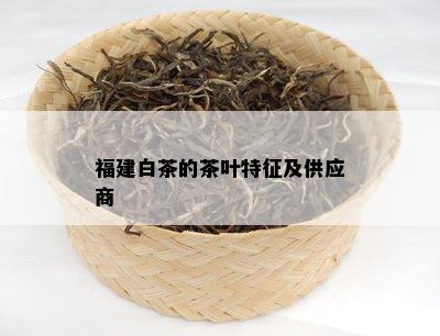 福建白茶的茶叶特征及供应商