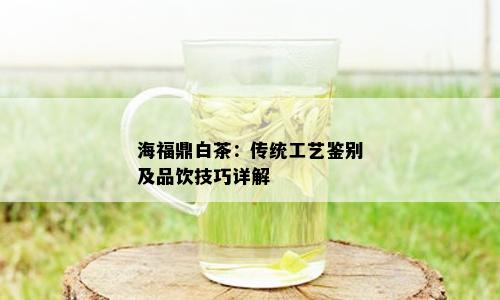 海福鼎白茶：传统工艺鉴别及品饮技巧详解