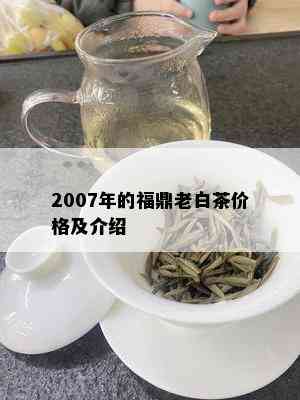 2007年的福鼎老白茶价格及介绍