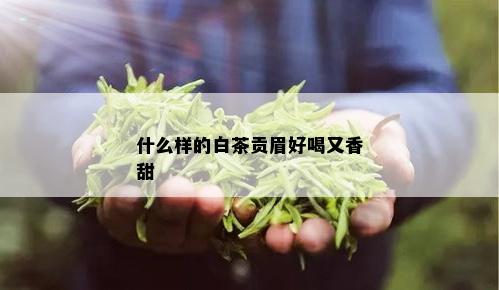 什么样的白茶贡眉好喝又香甜