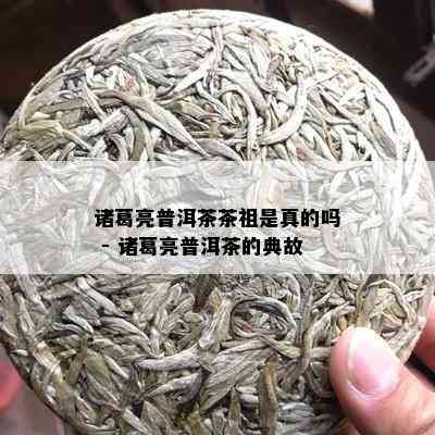 诸葛亮普洱茶茶祖是真的吗 - 诸葛亮普洱茶的典故