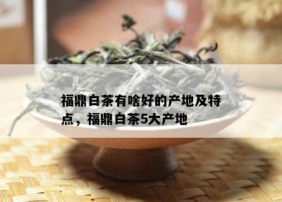 福鼎白茶有啥好的产地及特点，福鼎白茶5大产地