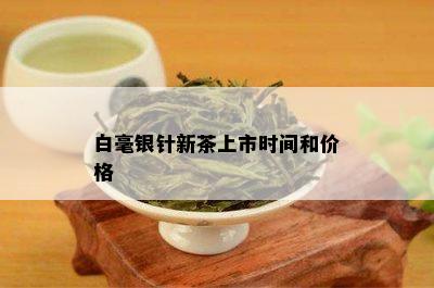 白毫银针新茶上市时间和价格