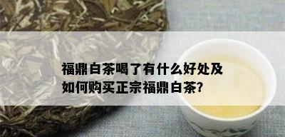 福鼎白茶喝了有什么好处及如何购买正宗福鼎白茶？