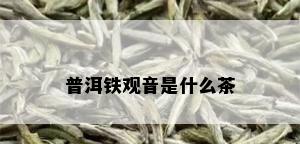 普洱铁观音是什么茶