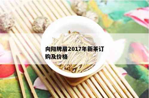 向阳牌眉2017年新茶订购及价格