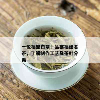 一悦福鼎白茶：品尝福建名茶，了解制作工艺及茶叶分类