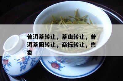 普洱茶转让，茶山转让，普洱茶园转让，商标转让，售卖