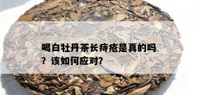 喝白牡丹茶长痔疮是真的吗？该如何应对？