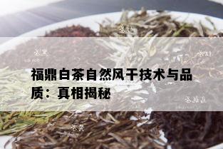 福鼎白茶自然风干技术与品质：真相揭秘