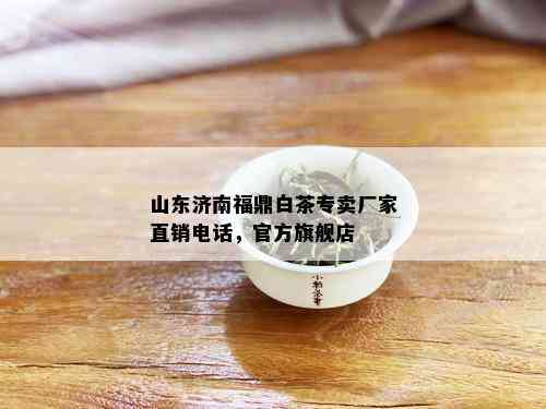 山东济南福鼎白茶专卖厂家直销电话，官方旗舰店