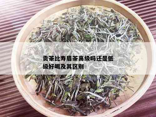 贡茶比寿眉茶高级吗还是低级好喝及其区别