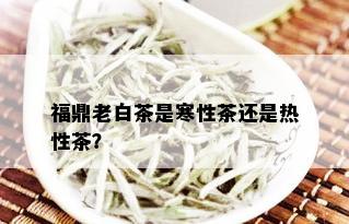 福鼎老白茶是寒性茶还是热性茶？