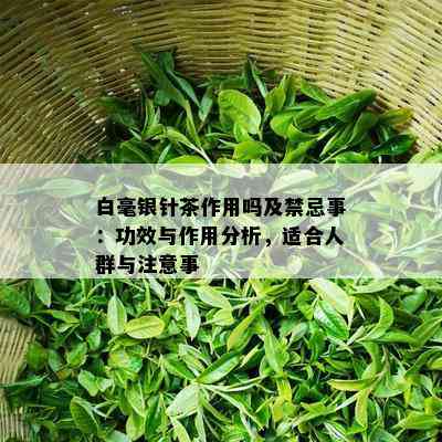 白毫银针茶作用吗及禁忌事：功效与作用分析，适合人群与注意事